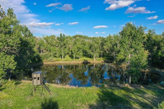 Bijou Creek Farm