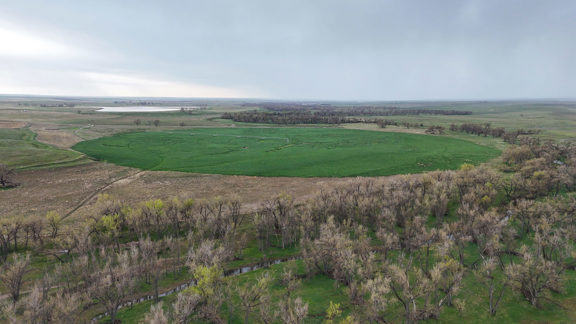 Bijou Creek Farm