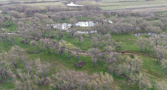 Bijou Creek Farm