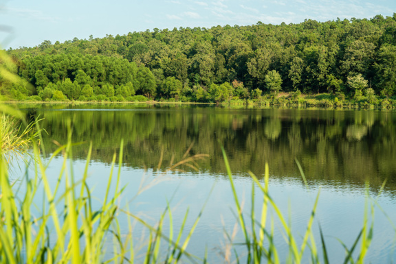 Pilot Mountain Lake