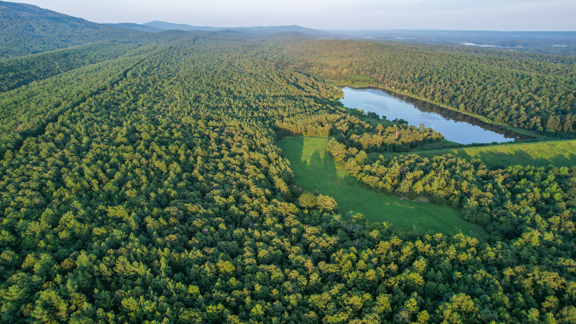 Pilot Mountain Lake