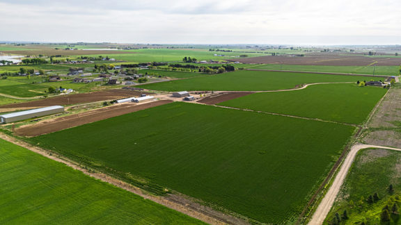 Grace And Grit Farms