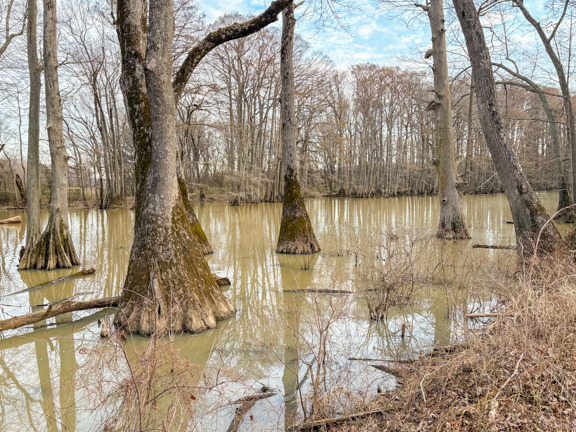 Black River Farm