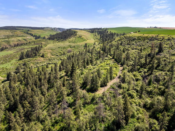 Webb Creek Hunting Ranch