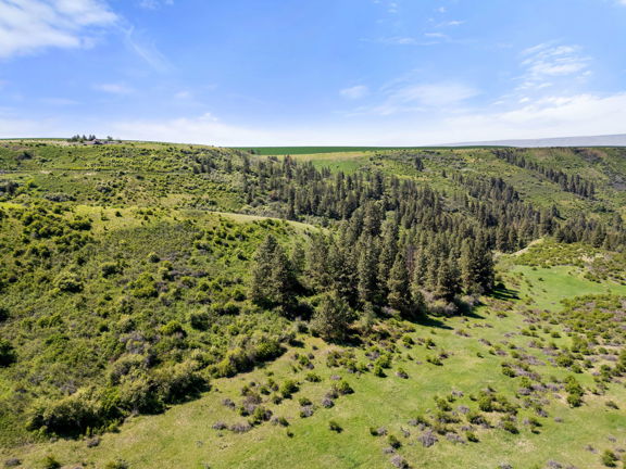 Webb Creek Hunting Ranch