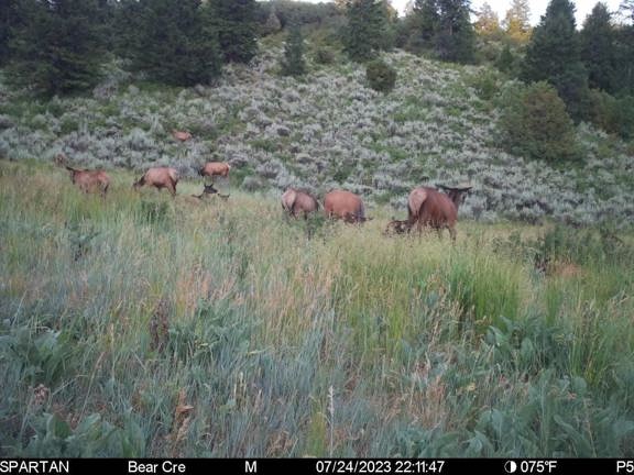 Piceance Creek Ranch