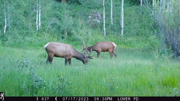 Cow Creek Ranch