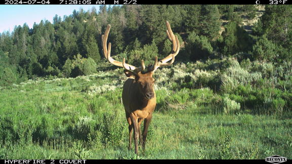 Government Creek Ranch