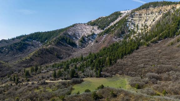 Government Creek Ranch