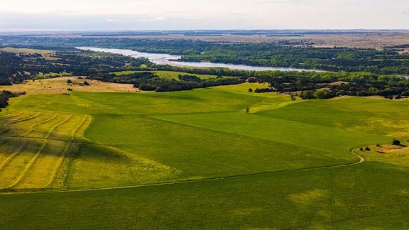 Niobrara River Bugles and Bucks