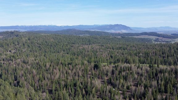 South Chandler Grande Ronde Ranch