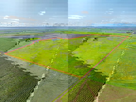 Millsaps Willows Ranch