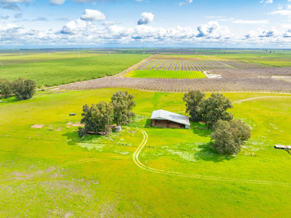Millsaps Willows Ranch