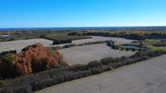 Rolling Hills Orchard