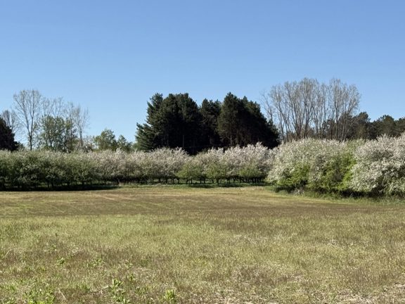 Rolling Hills Orchard