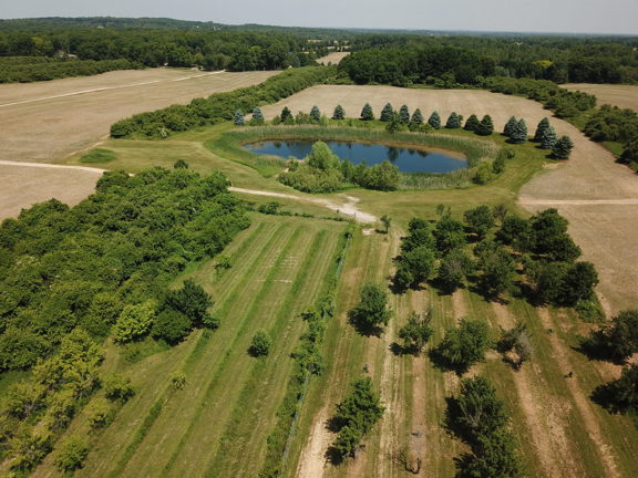 Rolling Hills Orchard