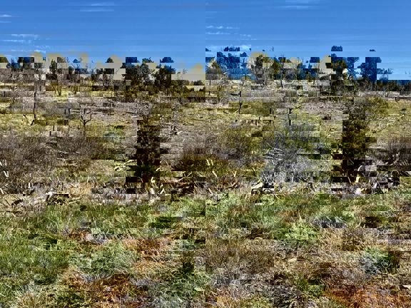 Deer Run Ranch