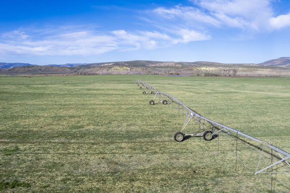 Thunder S Ranch