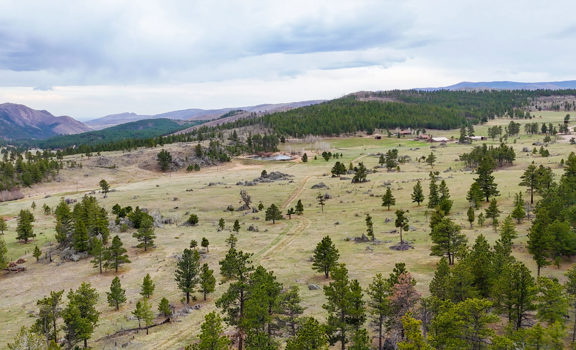 Old Flowers Ranch