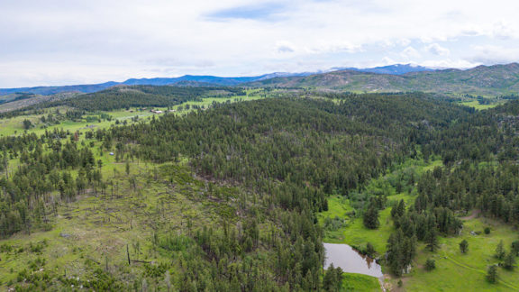 Old Flowers Ranch