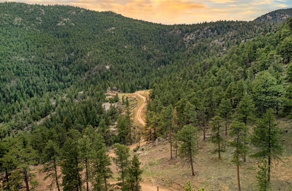 Lyons/Estes 40 Acre Legacy Land