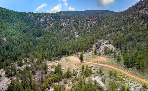 Lyons/Estes 40 Acre Legacy Land