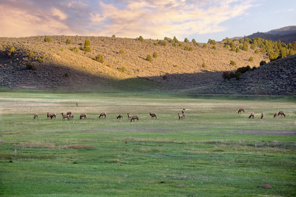 Piceance Creek Ranch