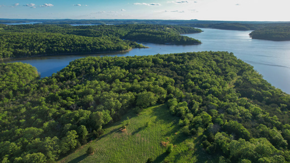 Walker Hollow