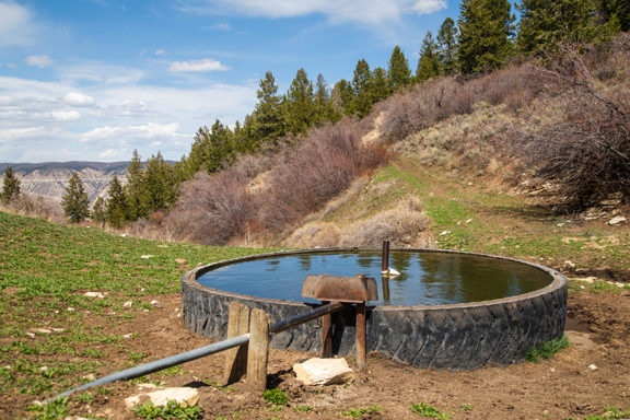 Island Mountain Ranch