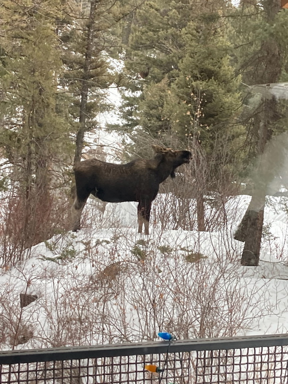 Basin Creek Retreat