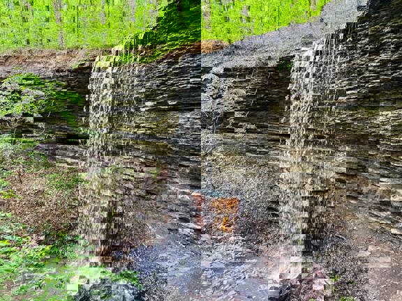 Waterfall Springs