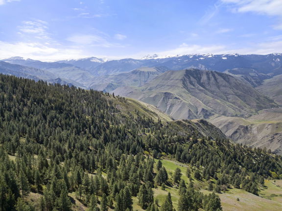Salmon River Recreational Ranch (Hunting Portion)
