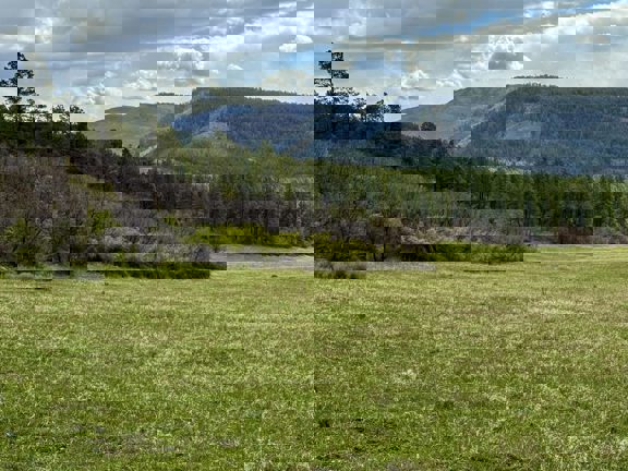 Roaming Elk Ranch