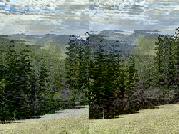 Roaming Elk Ranch