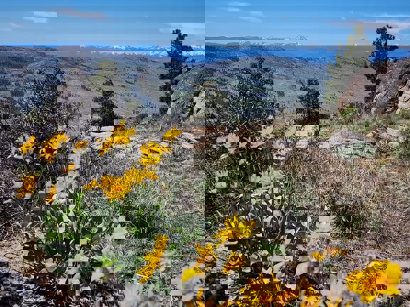 Lookout Mountain Ranch