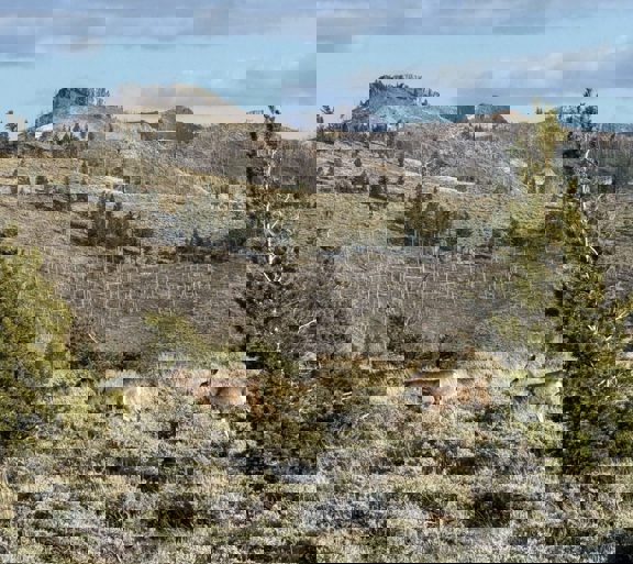The Upper Deer Creek Ranch