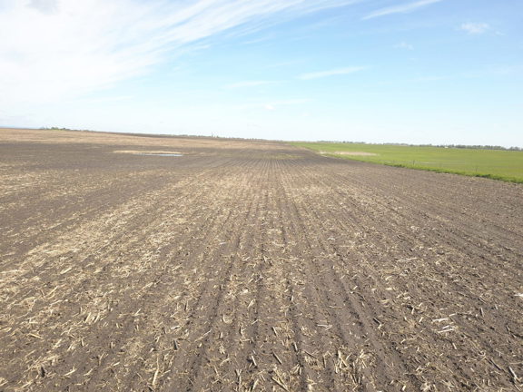 303.60± Acres Brown County Land-Tillable