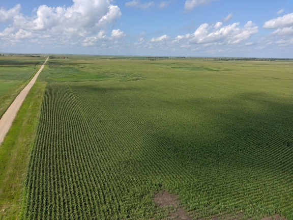 303.60± Acres Brown County Land-Tillable