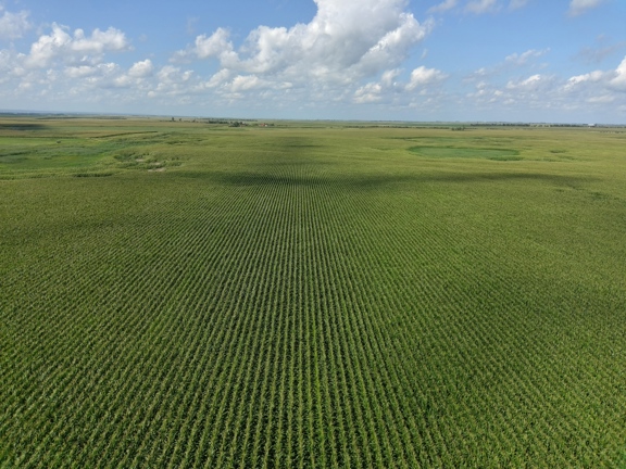 303.60± Acres Brown County Land-Tillable