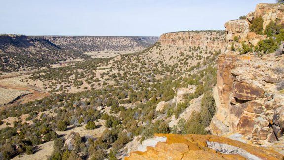 Poitry Canyon Trophy Elk, Mule Deer and Cattle Ran
