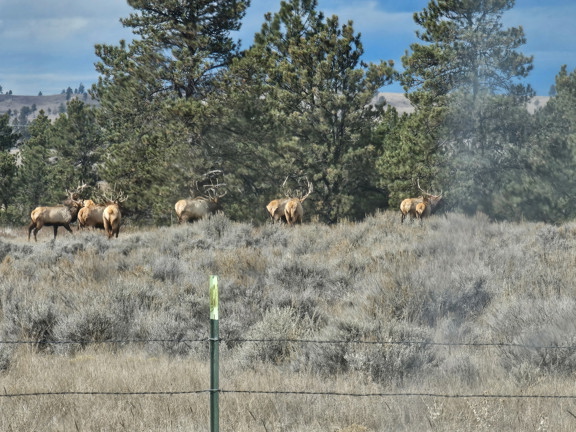 Custer Legacy Ranch