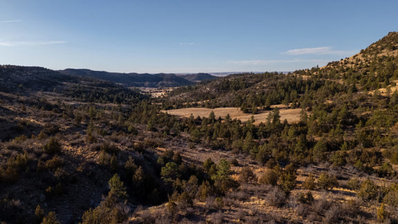 Time Out Ranch