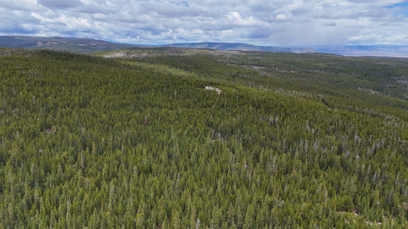 Rawhide Hunting Ranch
