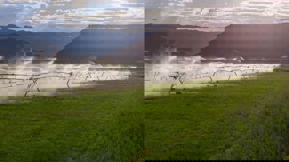 Silt Investment Farm