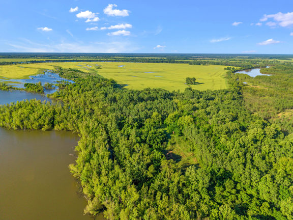 Duck Island