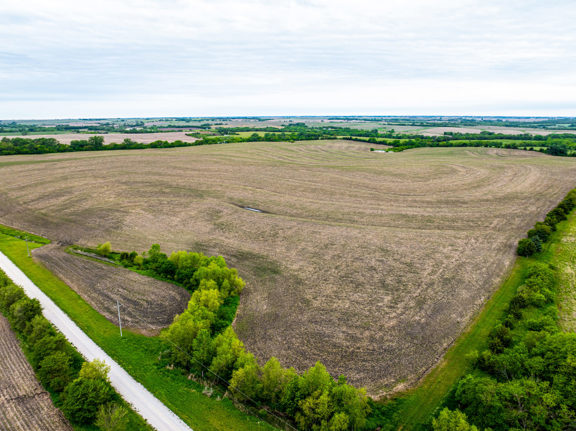 Pawnee County Dryland