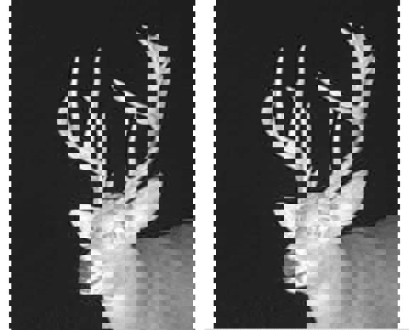 South Wea Creek Retreat