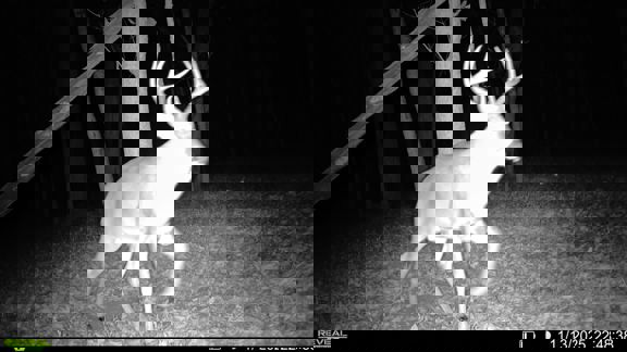 South Wea Creek Retreat