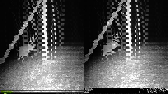 South Wea Creek Retreat