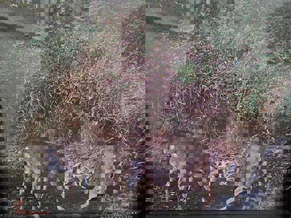 South Wea Creek Retreat